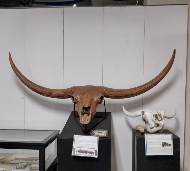 Orma J. Smith Museum of Natural History (Caldwell,&nbspID)